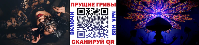 даркнет сайт Черкесск дарк нет клад Псилоцибиновые грибы мицелий ОМГ ОМГ как зайти