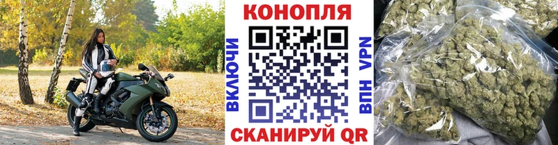 где продают наркотики  Черкесск  Конопля MAZAR 